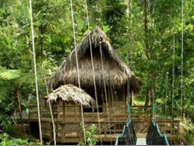 Costa Rica jungle lodge