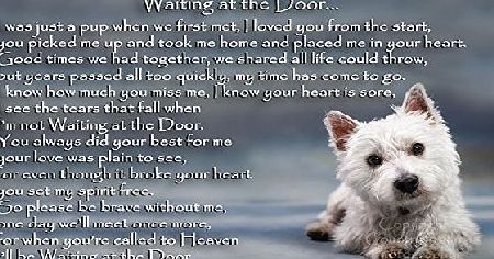 CountryStyle Gifts West Highland White Terrier Westie bereavement pet dog loss memorial Flexible Fridge Magnet - Waiting at the Door