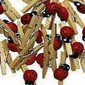 Craft for Occasions Natural wooden pegs with Ladybird Decoration, 20Pcs. C506