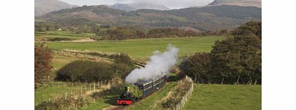Cream Tea and Steam Experience for Two at