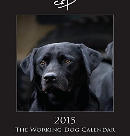 CSP The Working Dog Calendar 2015 - Iconic photographs of shooting and dogs by Charles Sainsbury-Plaice.