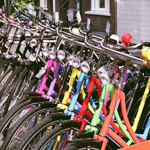 CYCLE Amsterdam Small Group Tour - Adult