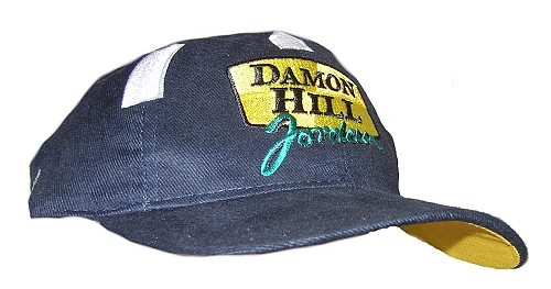 Damon Hill Jordan Kids Cap