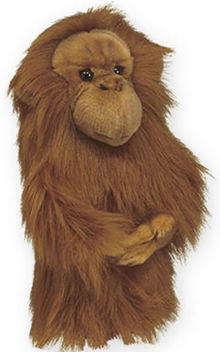 daphnes Orangutan Headcover