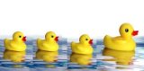 DAS Bath Duck Family