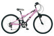 Dawes Bandit 2011 Girls Kids Bike (24