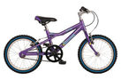 Dawes Blowfish 16 Girls 2008 Kids Bike