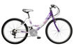 Vixen 2010 Kids Bike (24 Inch Wheel)