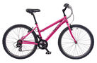 XC 1.0 2008 Womenand#39;s Mountain Bike