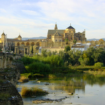 Day Tour to Cordoba - Adult (Staying in Estepona