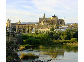 Day Tour to Cordoba - Child (Staying in