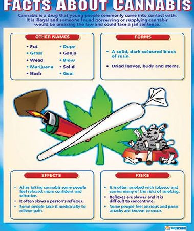 Daydream Facts About Cannabis Wall Chart Poster PSHE007-69