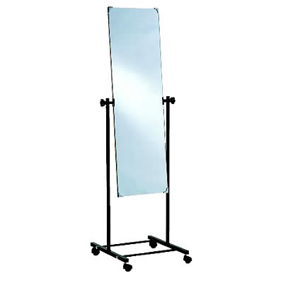 Days Healthcare Posture Mirror (XET 850 - Posture Mirror)