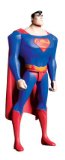 DC Direct Superman vs. Doomsday: Superman Action Figure