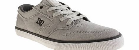 dc shoes Light Grey Nyjah Vulc Trainers
