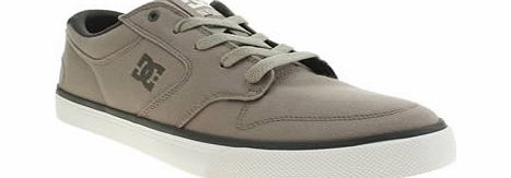 dc shoes Light Grey Nyjah Vulc Tx Trainers