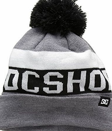 DC Shoes Mens Chester Hat, Grey, One Size