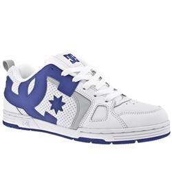 Dcshoe Co Male Major Leather Upper Dc Shoes in White and Blue