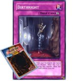 Deckboosters Yu-Gi-Oh : 5DS1-EN040 Birthright Common Card - ( 5Ds1 YuGiOh Single Card )