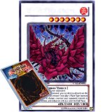 Deckboosters Yu Gi Oh : CT05-EN003 Limited Ed Black Rose Dragon Secret Rare Promo Card