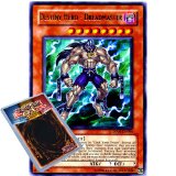Deckboosters Yu Gi Oh : DP05-EN004 1st Edition Destiny Hero - Dreadmaster Rare Card - ( Aster Phoenix YuGiOh Sing