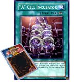 Deckboosters Yu-Gi-Oh : GLAS-EN062 1st Ed `A` Cell Incubator Common Card - ( Gladiators Assault YuGiOh Single Card )