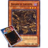 Yu-Gi-Oh : GLD1-EN009 Limited Ed Swarm of Locusts Common Card - ( Gold Series 1 YuGiOh Single Card )