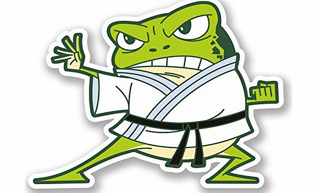 DestinationVinyl 2 x Martial Arts Frog Vinyl Sticker iPad Laptop Car Funny Karate Judo Gift #4599 (10cm Wide x 8.3cm Tall)