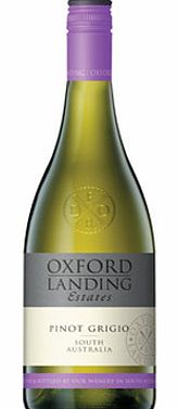 Devil`s Rock Oxford Landing Pinot Grigio