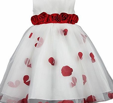 discoball Girls Flower Formal Wedding Bridesmaid Party Christening Children Clothing Lace Princess Dress Kids Baby Clothes age 2-11 years(10-11years,red)