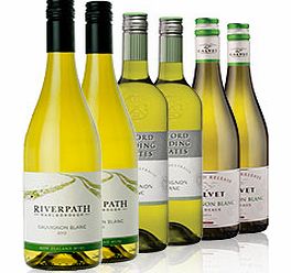 Discover Sauvignon Blanc Case Of 6