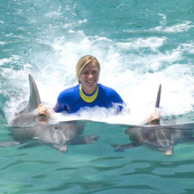 Discovery Cove Trainer For A Day (2013) -
