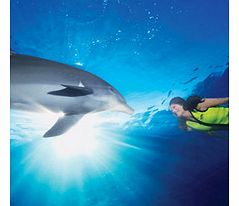 Discovery Cove ULTIMATE Package (2014) -