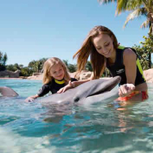 Discovery Cove ULTIMATE Package (2015) - Dolphin