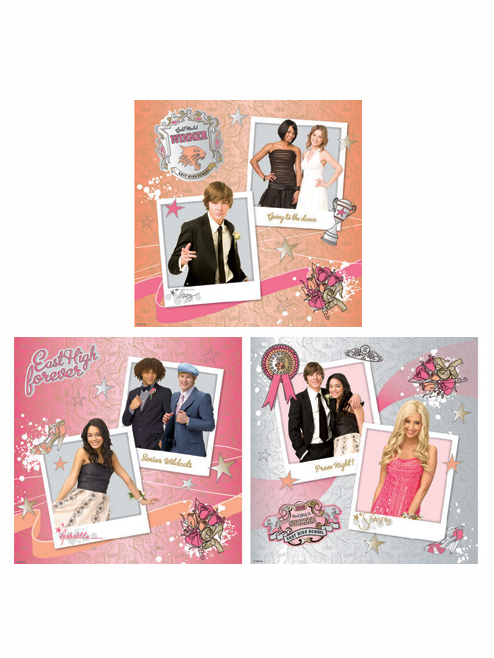 Disney High School Musical 3 Wall Stickers Art Squares 3 large pieces