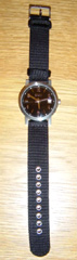 DKNY NY1059 Watch