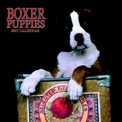 Dog Boxer - Puppies 2006 Calendar