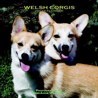 Dog Corgi - Welsh 2006 Calendar