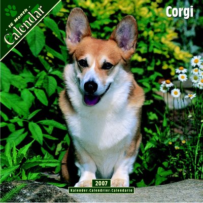 Dog Corgi 2006 Calendar