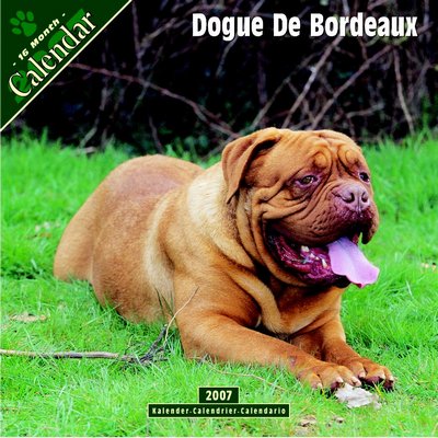 Dog Dogue de Bordeaux 2006 Calendar
