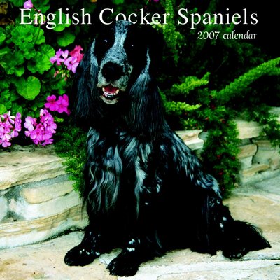Dog English Cocker Spaniel 2006 Calendar