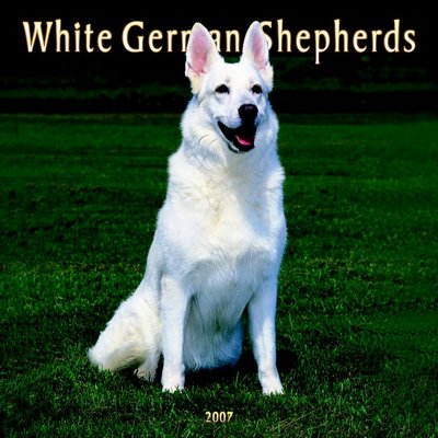 German Shepherd - White 2006 Calendar