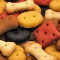 Pointer Dog Biscuits Bulk Treats Small Biscuit