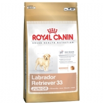 Royal Canin Breed Junior Dog Food 12kg Golden