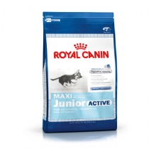 Royal Canin Dog Food Maxi Junior Active 15Kg