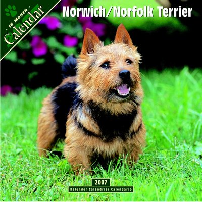 Dogs Norwich/Norfolk Terrier 2006 Calendar
