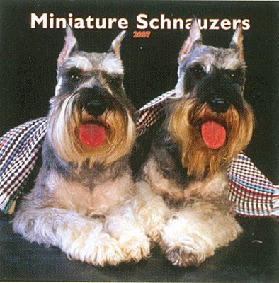 Dogs Schnauzer - Miniature 2006 Calendar