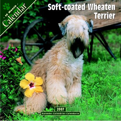 Dogs Soft Coated Wheaten Terrier 2006 Calendar