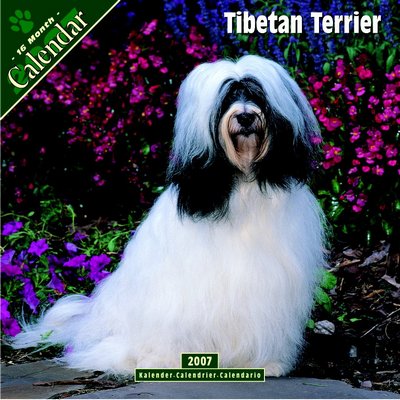 Dogs Tibetan Terrier 2006 Calendar