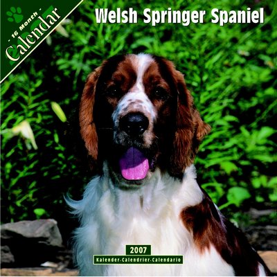 Dogs Welsh Springer Spaniel 2006 Calendar